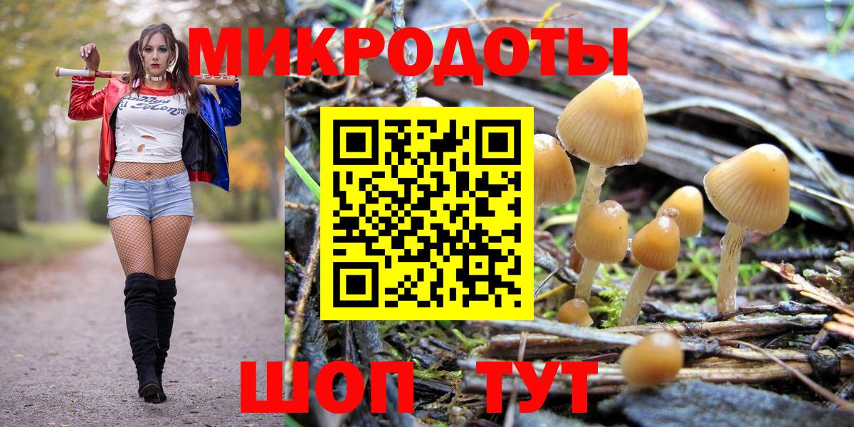 Ростов Великий  Псилоцибиновые грибы Psilocybe  Вход с VPN  Галлюциногенные грибы MAGIC MUSHROOMS 