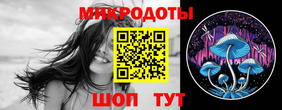 Псилоцибиновые грибы Psilocybe Ростов Великий